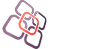 BSN Business Software & Networks